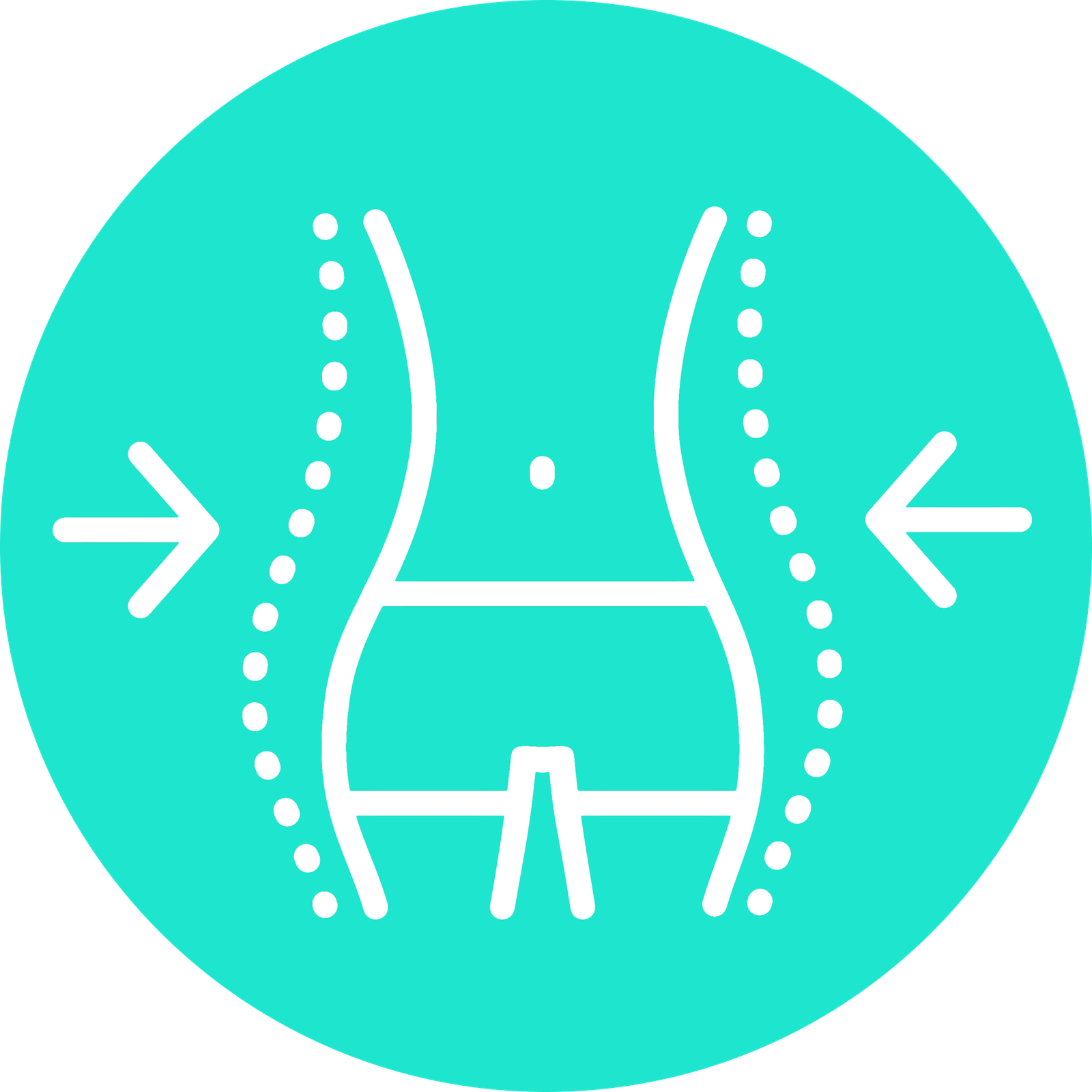 icon bodycomp