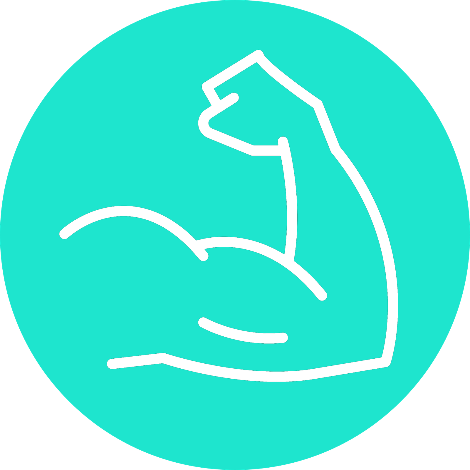 icon strength