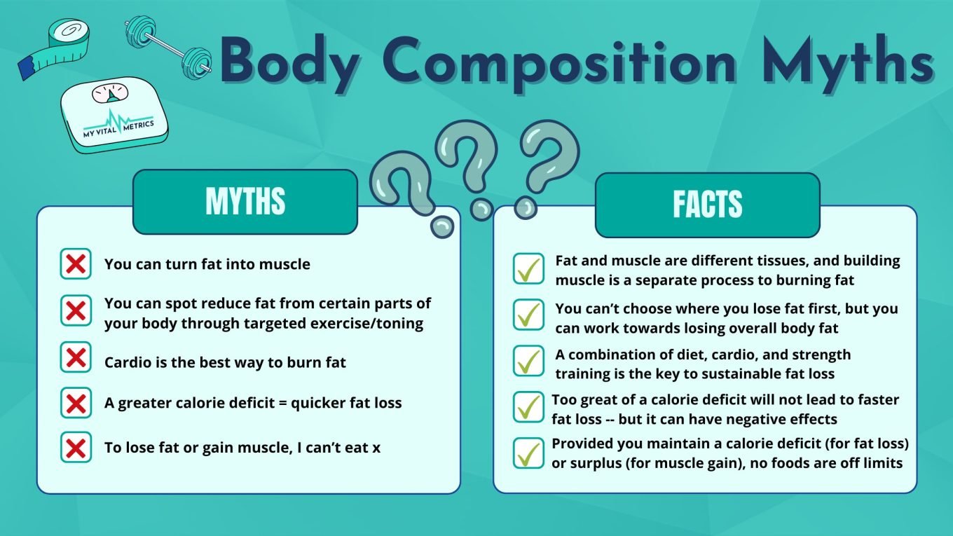 My Vital Metrics branded body composition myths infographic, listing 5 body composition myths and their corresponding facts. 